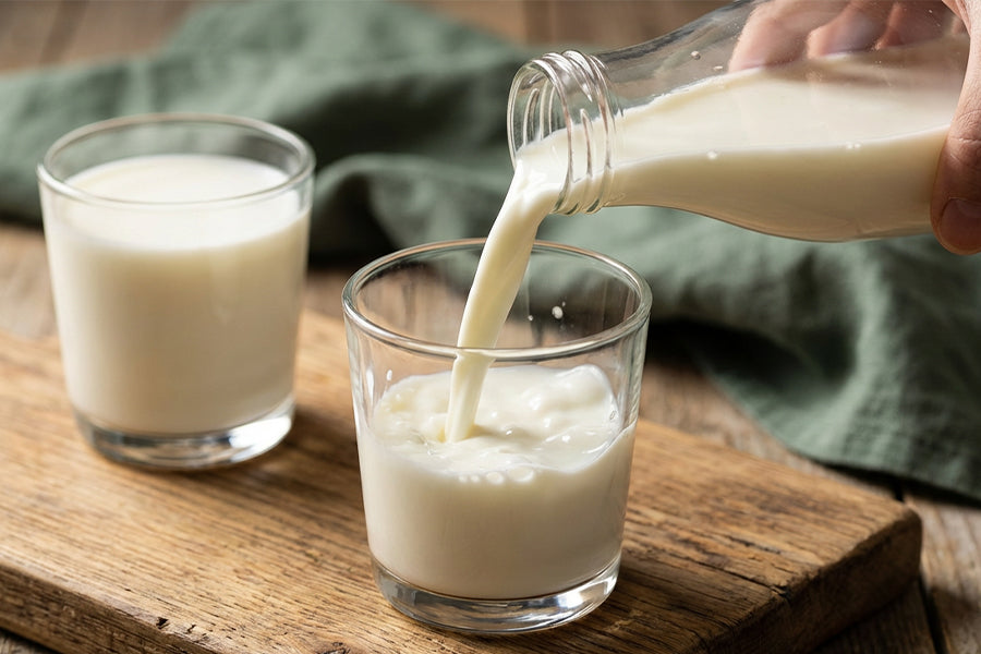 Best Milk Types for Gut Health and Acidity