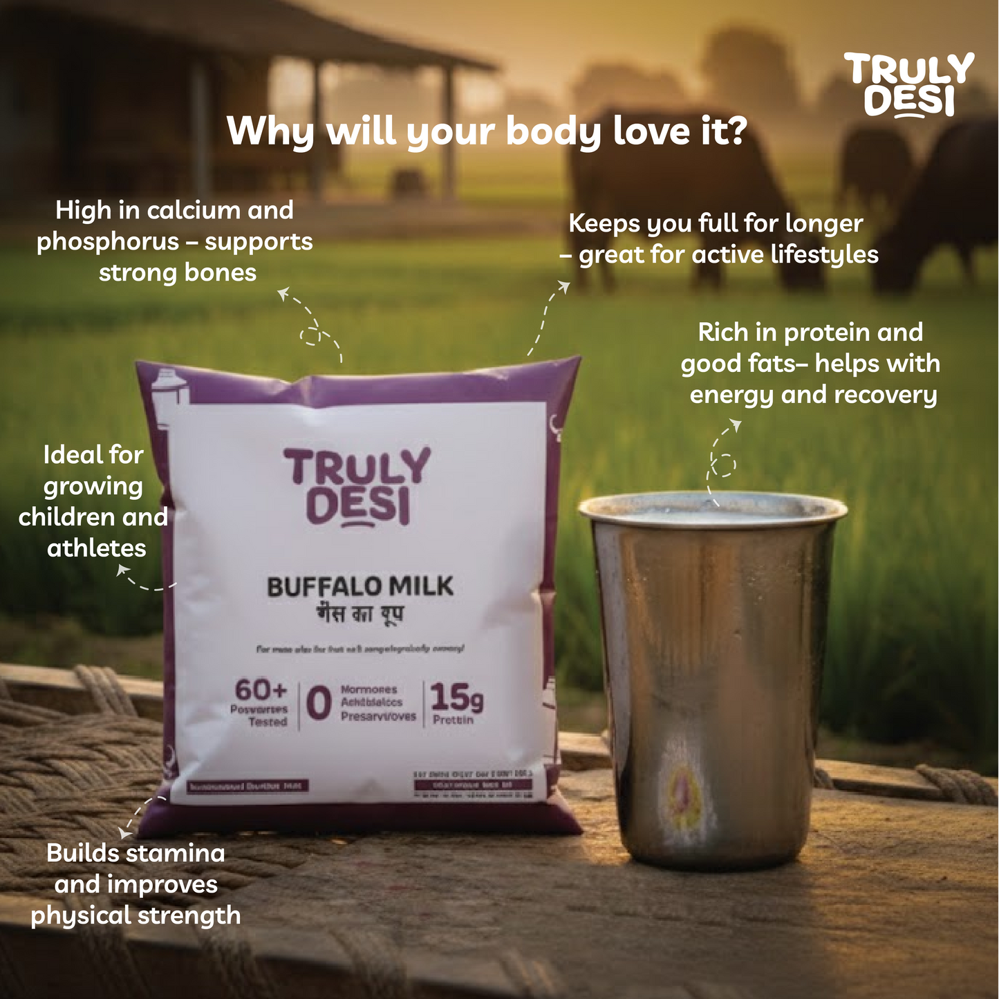 Buffalo Milk Trial Pack (10 Ltr)